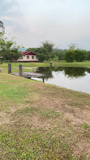 รูปรีวิวจาก undefined - 8